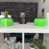 Flowerpot - Chậu trồng xương rồng - Thumbnail 3