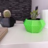 Flowerpot - Chậu trồng xương rồng - Thumbnail 4