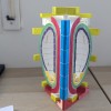 Lát cắt tokamak (tokamak slice) - Thumbnail 3