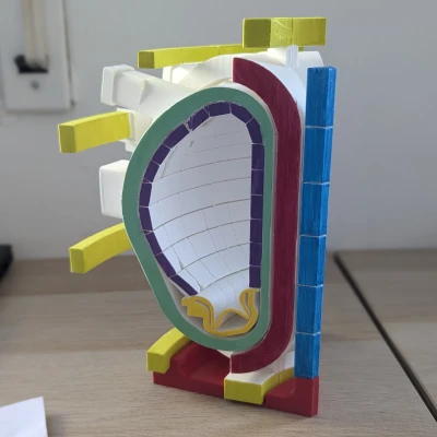 Lát cắt tokamak (tokamak slice)