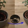Planter-Pot Spacer – Miếng kê nâng chậu cây - Thumbnail 1