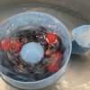 Bowl rửa trái cây (Fruit washer bowl) - Thumbnail 3