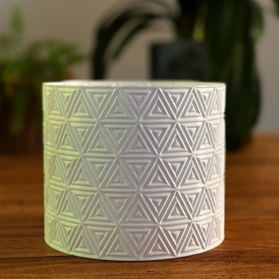 Chậu cây tam giác – in Vase Mode (Triangle Planter - Vase mode)