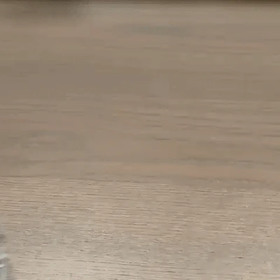 Kit Card VW Beetle Käfer tỉ lệ 1:24