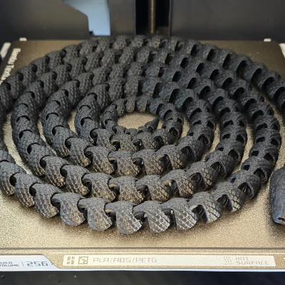 Rắn siêu dài có vảy (Extra-long Snake with Scales)